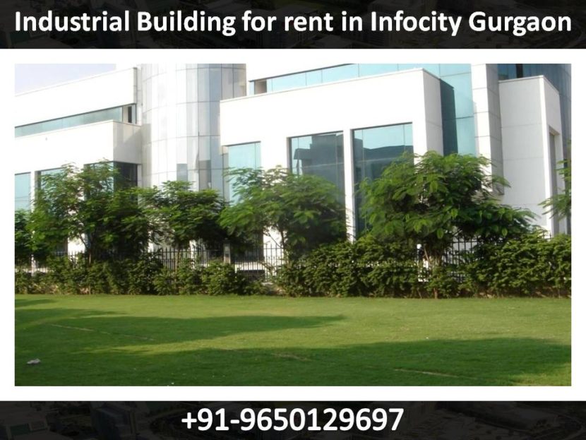 9650129697 Industrial Building for rent in Infocity Gurgaon