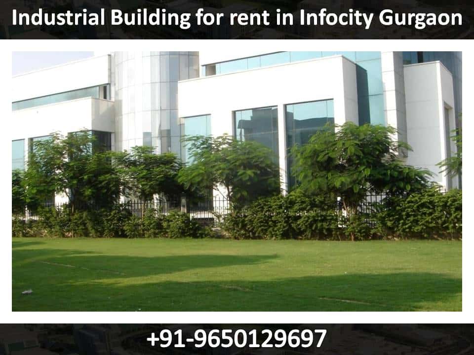 Industrial Building for rent in Infocity Gurgaon