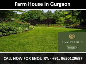 Raheja Riyasat Hills-Farm House in Gurgaon
