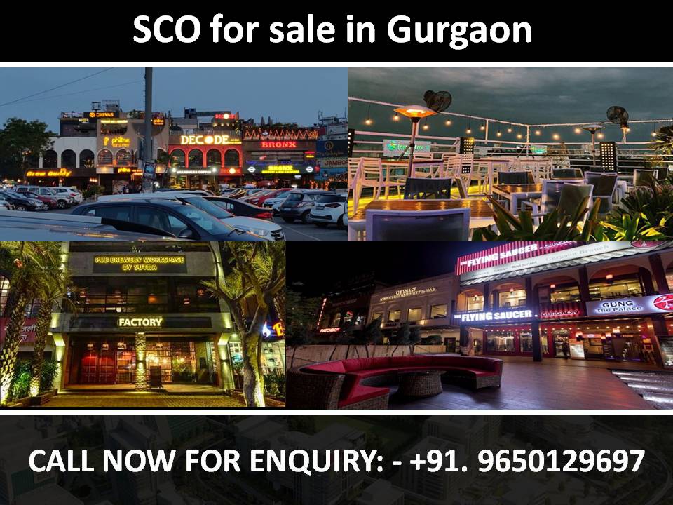 SCO for sale in Gurgaon